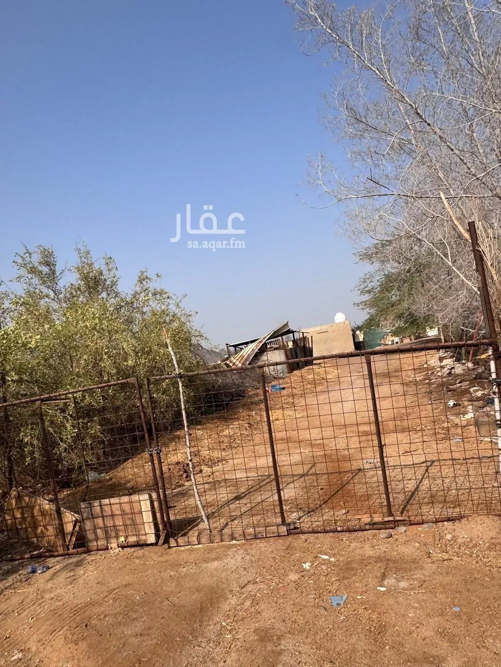 58661 sqm land in Jeddah 5