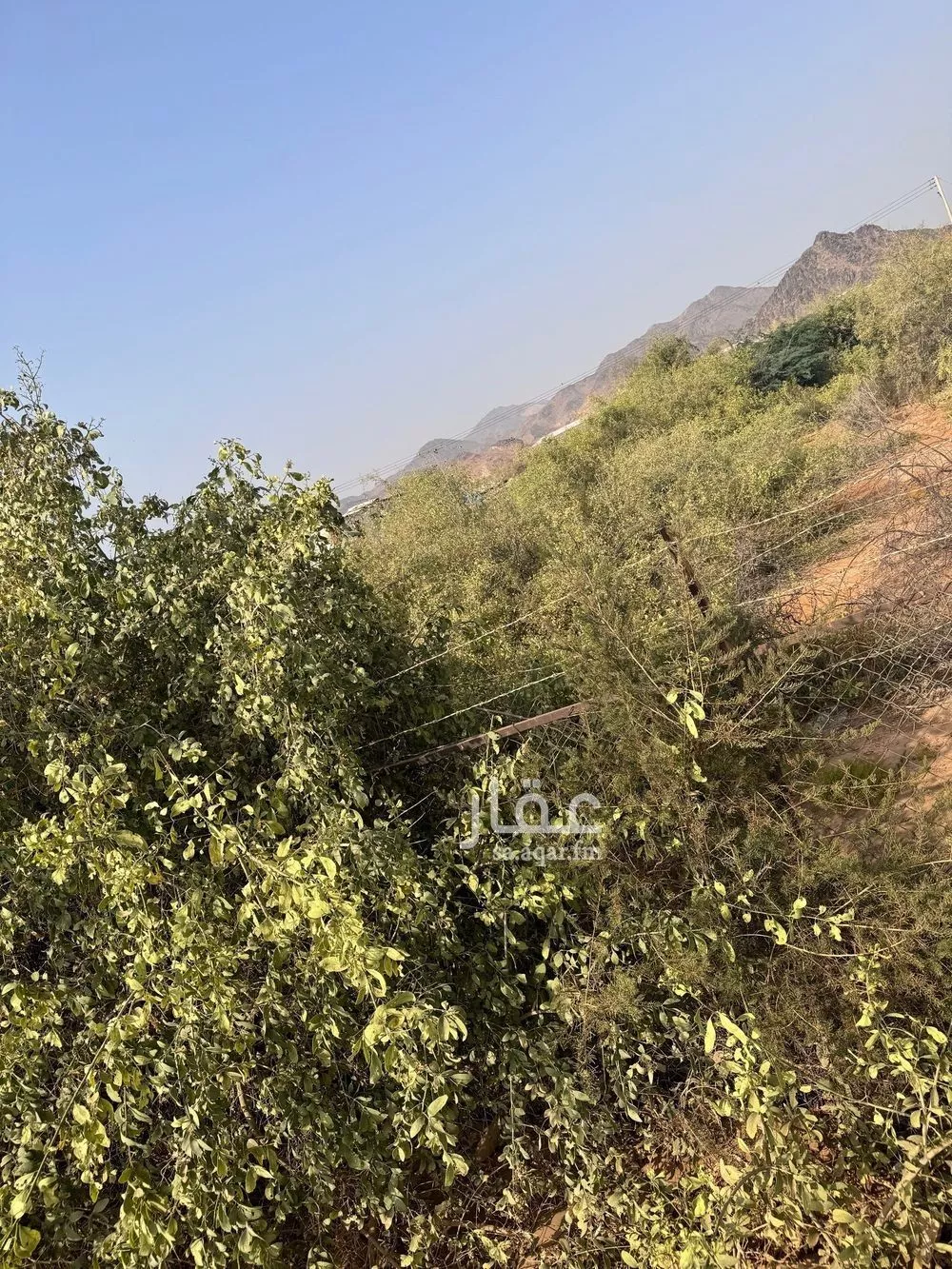 58661 sqm land in Jeddah 6