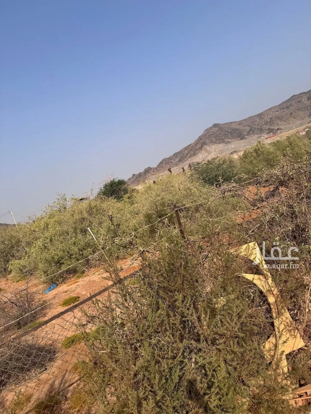 58661 sqm land in Jeddah 7