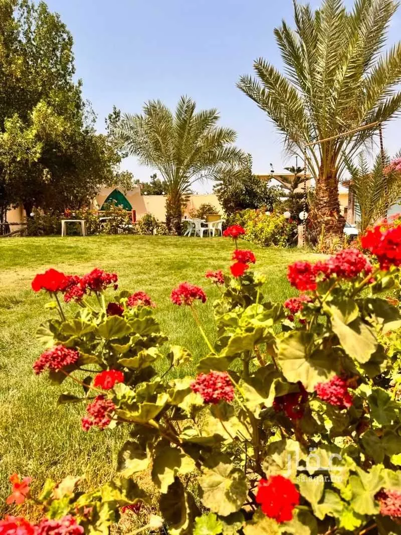 13 bedroom building in Al Khalidiyyah, Taif 5