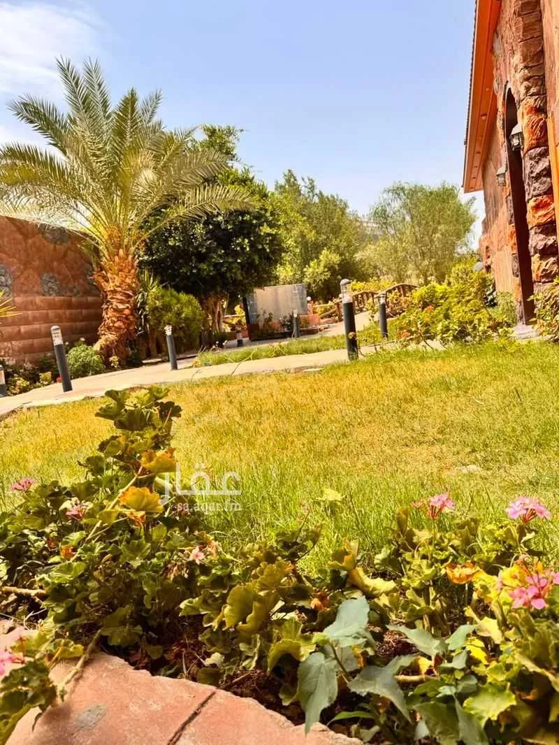 13 bedroom building in Al Khalidiyyah, Taif 6