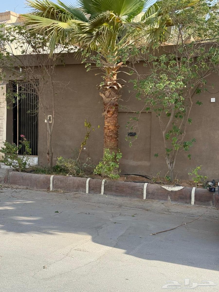 2 bedroom apartment in Al Shifa, Riyadh 6