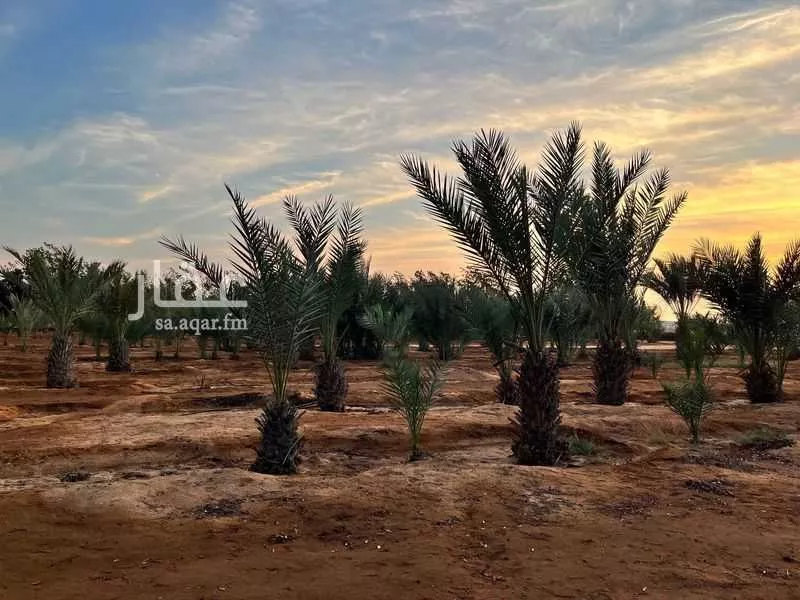 381675 sqm land in Jeddah 3