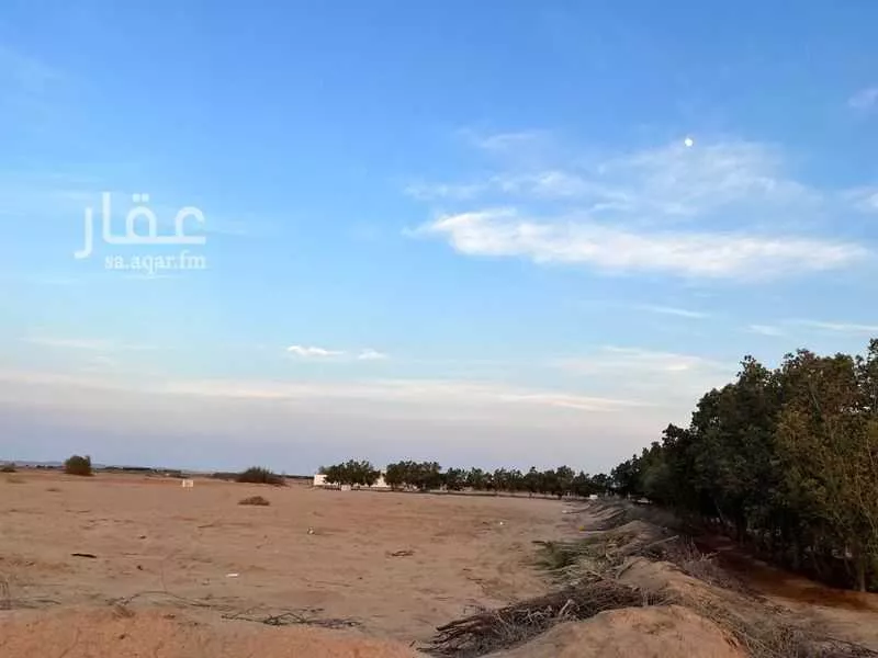 381675 sqm land in Jeddah 4