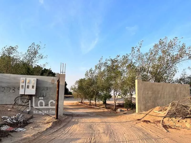 381675 sqm land in Jeddah 6