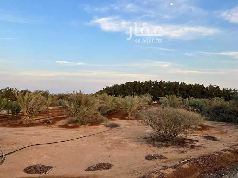 381675 sqm land in Jeddah 7