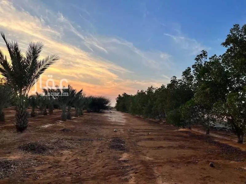 381675 sqm land in Jeddah 8