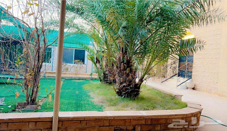 5 bedroom villa in Al Aziziyah, Riyadh 5