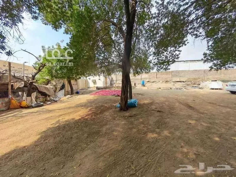land in Al Taneem, Makkah 6