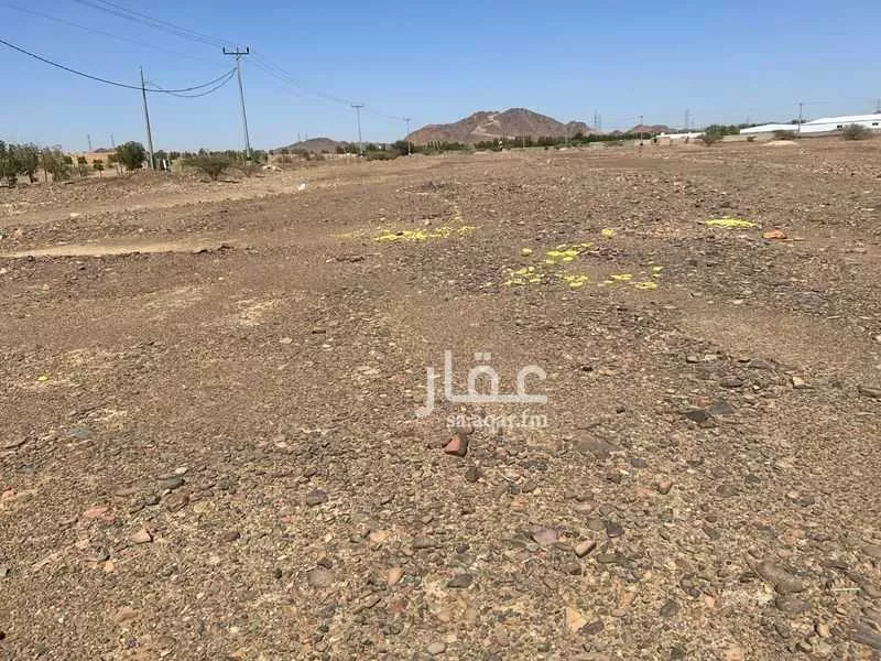 أرض 104054 م² في المطار 12