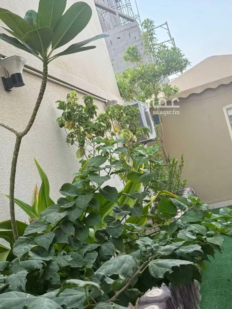 9 bedroom villa in Jeddah 22