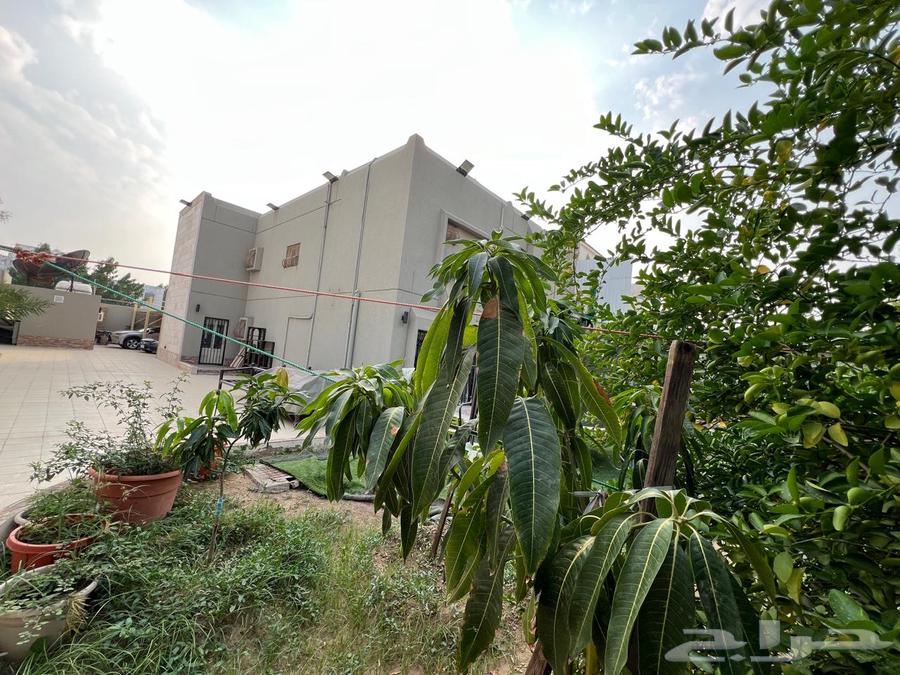 7 bedroom villa in Al Amir Fawaz Ash Shamali, Jeddah 3