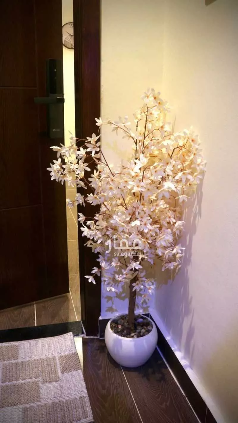 2 bedroom apartment in Mishrifah, Jeddah 11