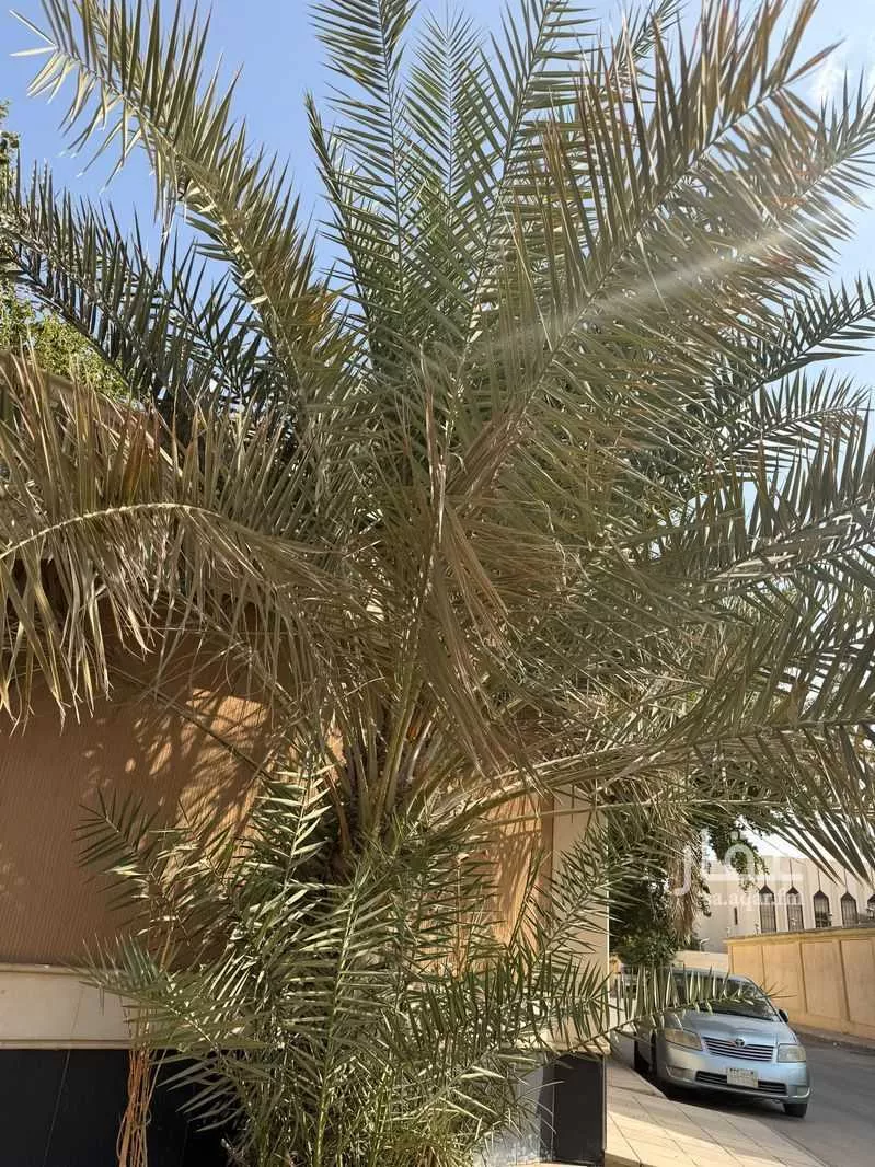 3 bedroom villa in Al Rabwa, Riyadh 27