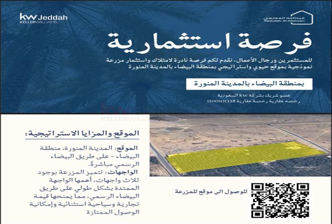 أرض 30000 م² في وادي الحمض 2