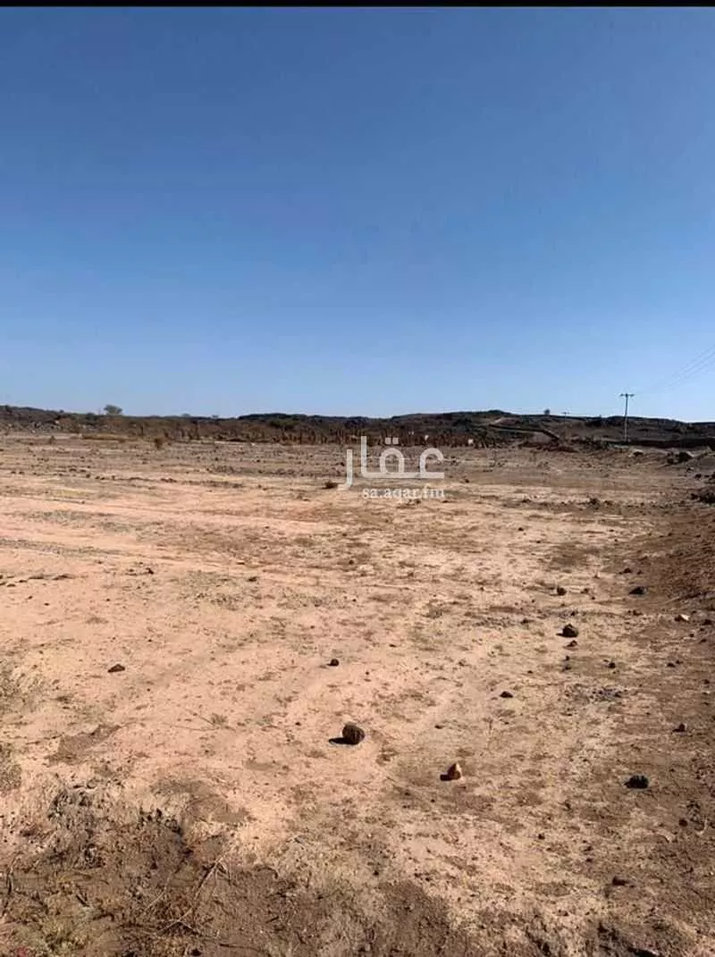 41267 sqm land in Al Sakb 2