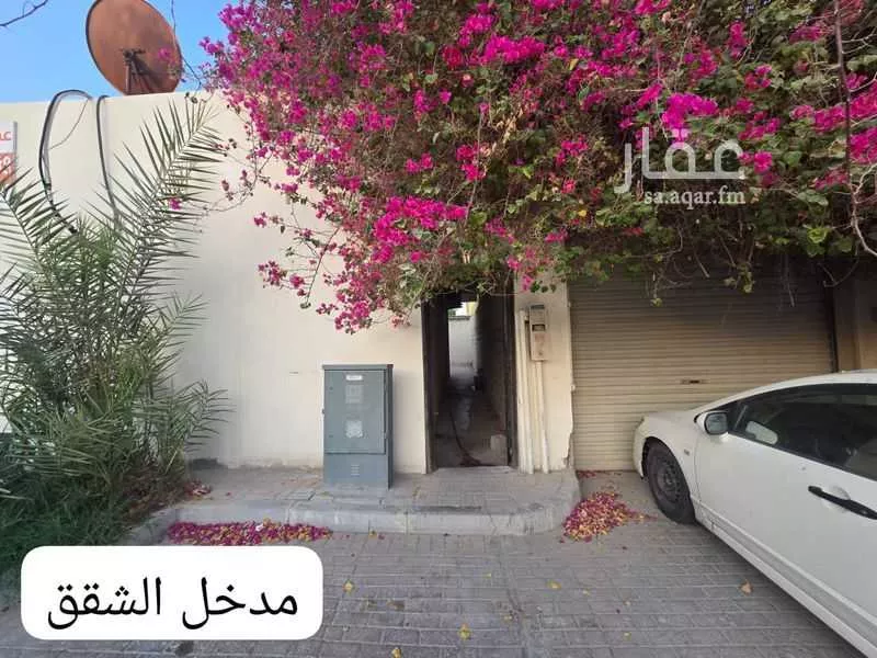عمارة 500 م² في قرطبة 14
