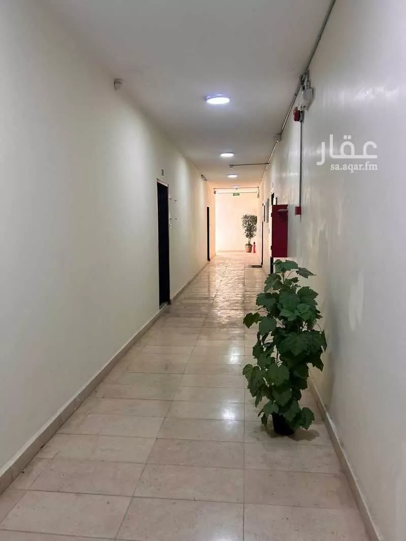 عمارة 1800 م² في ظهرة لبن 13
