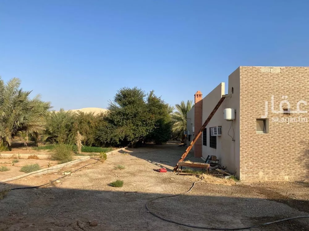 10000 sqm land in Umm Al Shaal 2