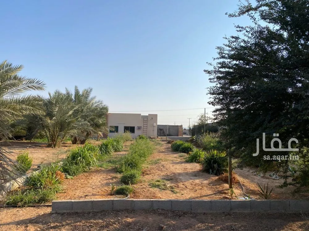 10000 sqm land in Umm Al Shaal 3