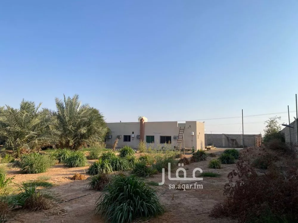 10000 sqm land in Umm Al Shaal 5