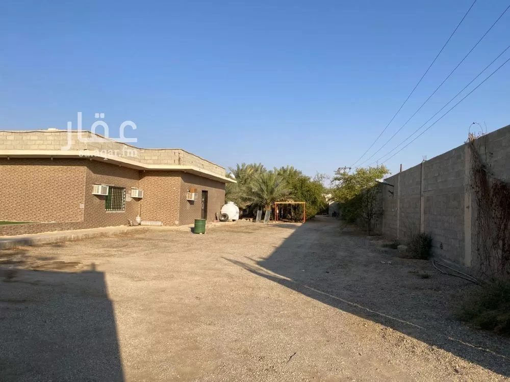 10000 sqm land in Umm Al Shaal 7