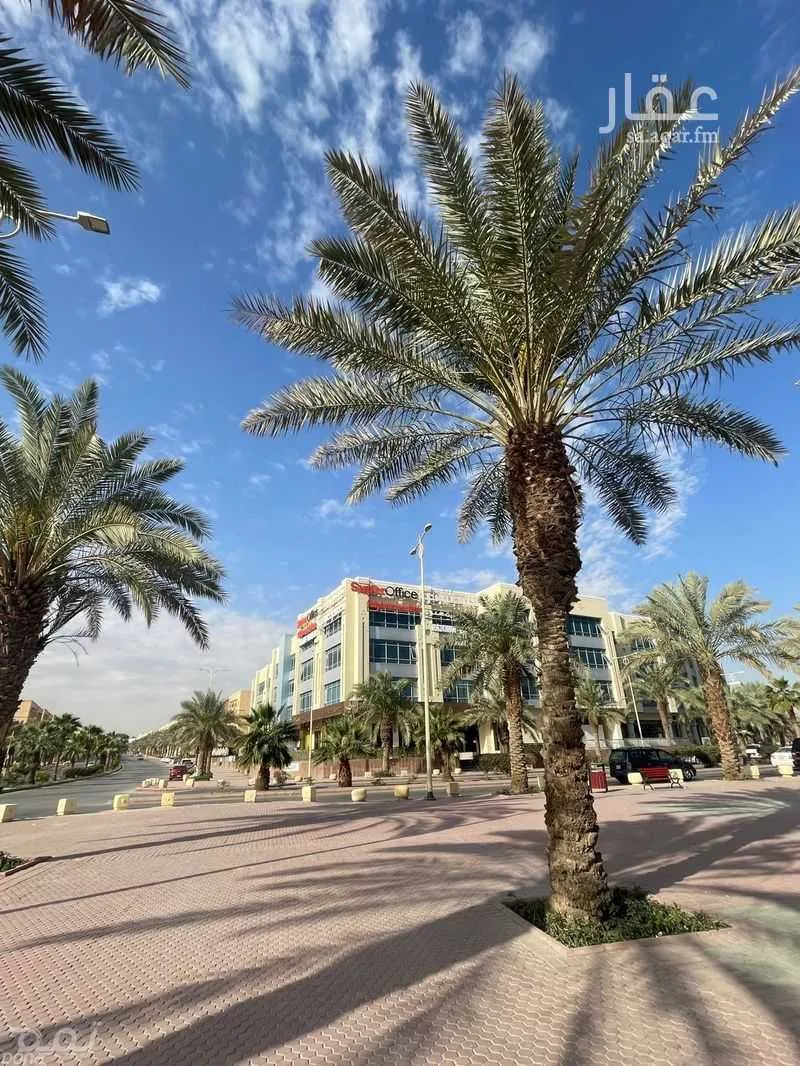 عقار 150 غرف في الدريهمية، الرياض 13