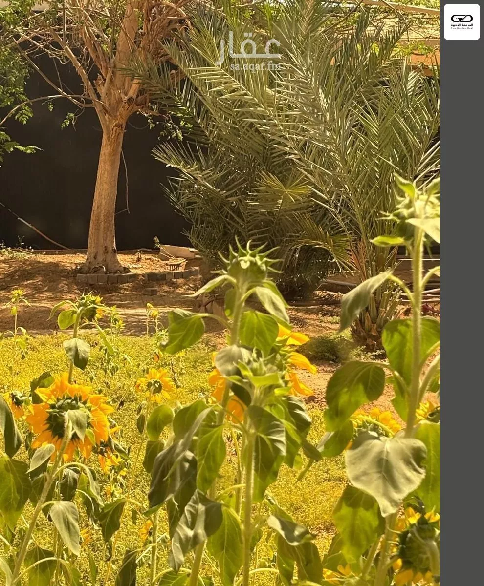 فيلا 2 غرف في الأصالة، جدة 17