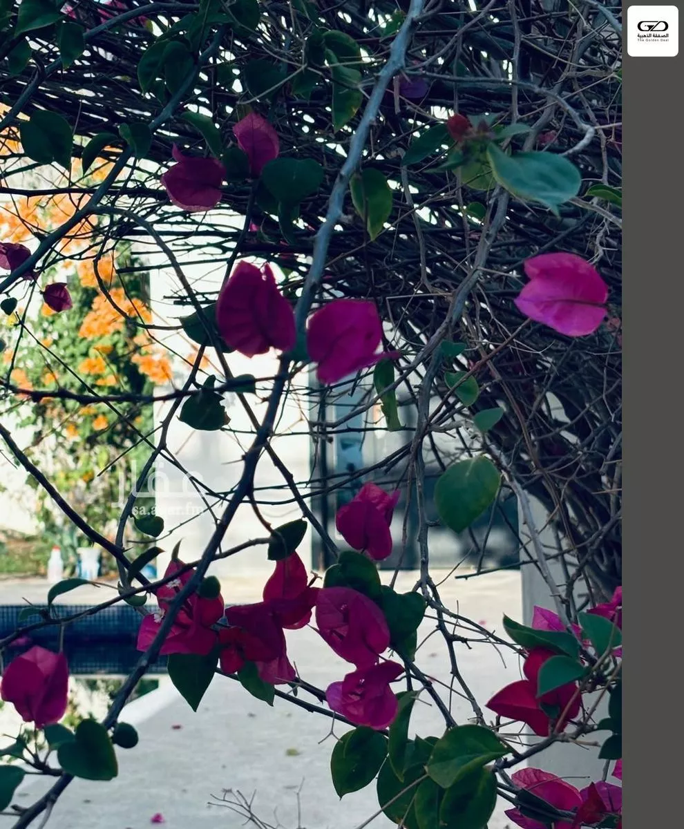 فيلا 2 غرف في الأصالة، جدة 6