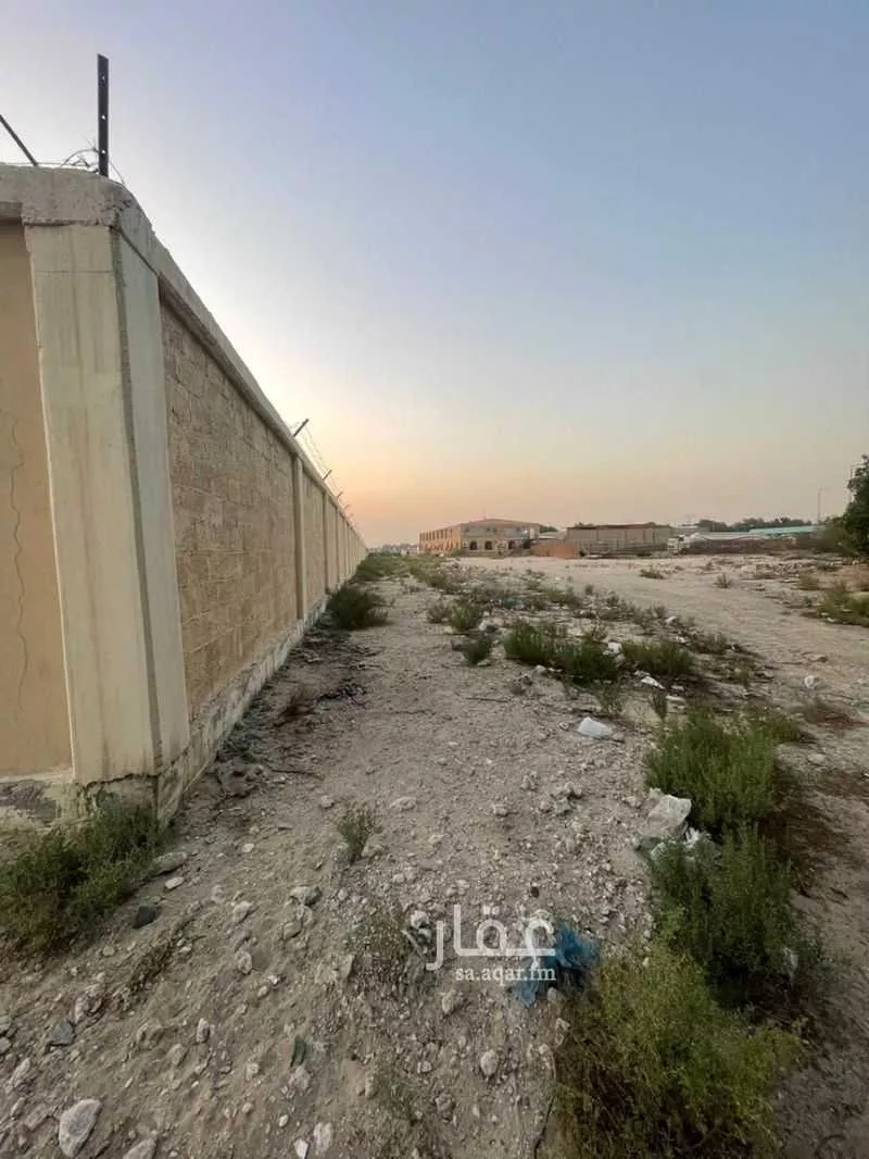 أرض 77215 م² في الأمل 10