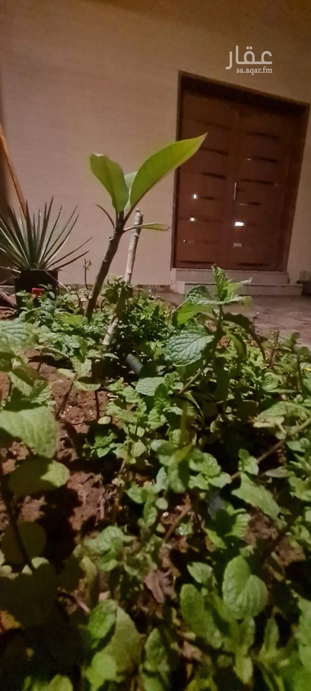 villa in Dhahrat Namar, Riyadh 4
