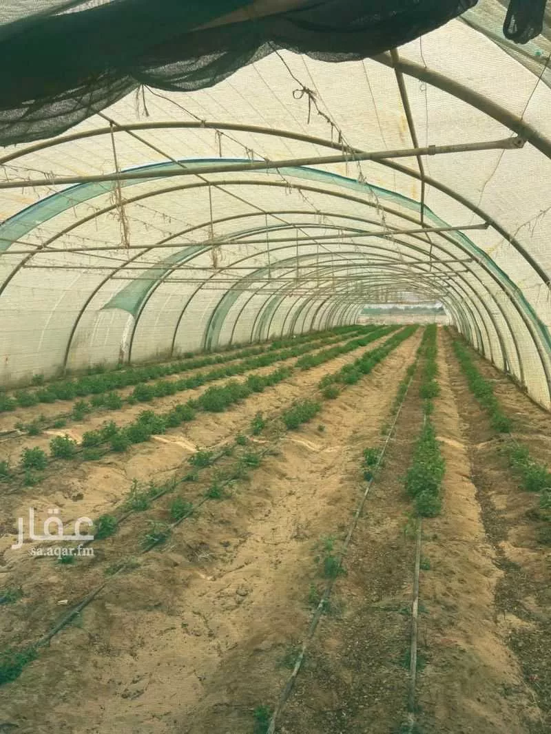 عقار  في مخطط الدخل المحدود، مدينة الجبيل الصناعية 4