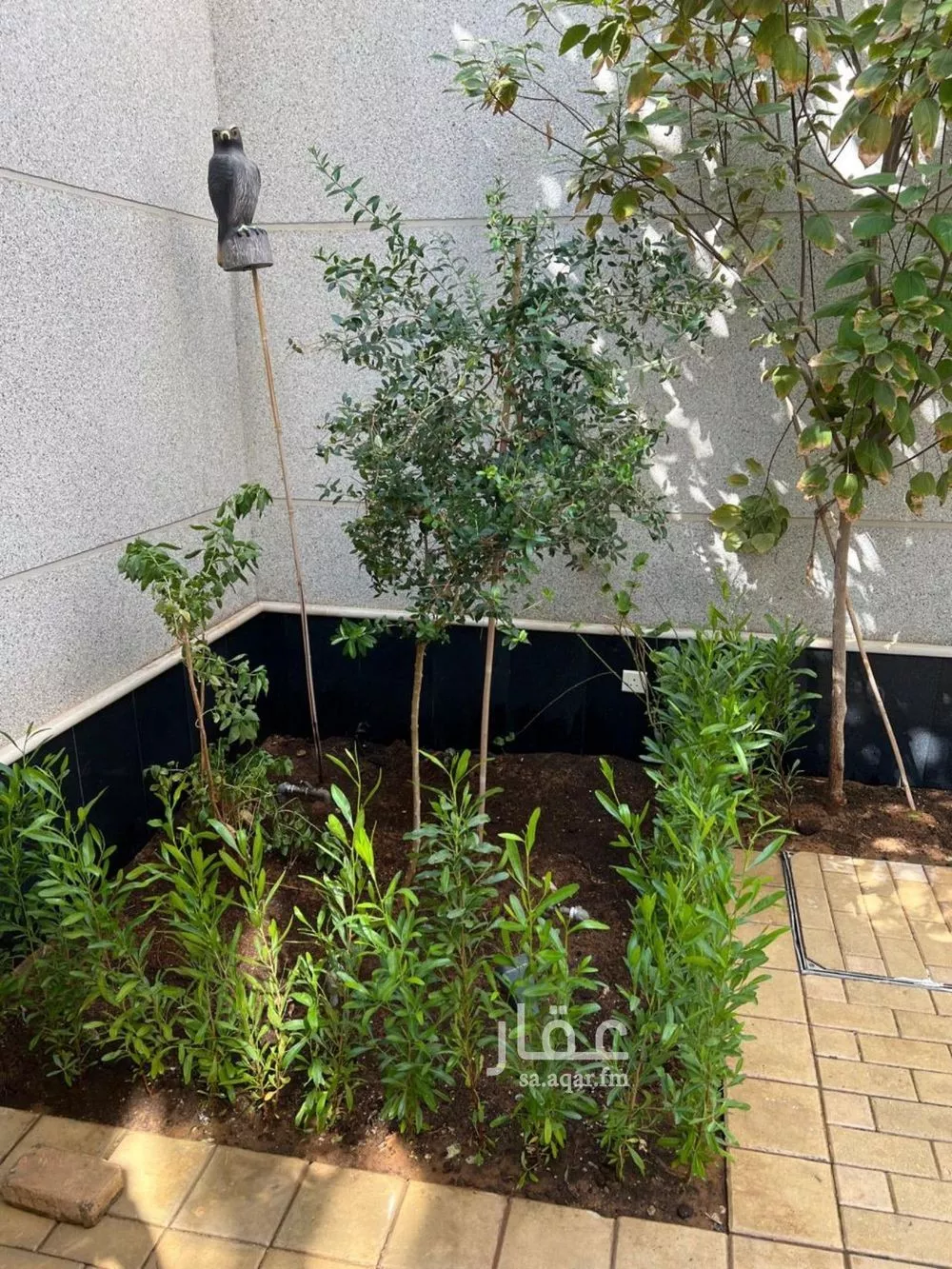 فيلا 6 غرف في الياسمين 19