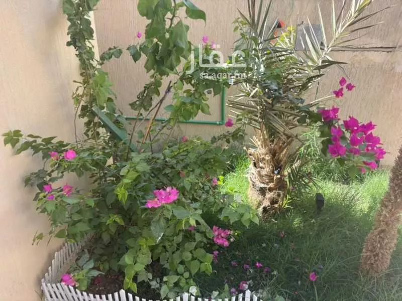 فيلا 4 غرف في الرياض 18