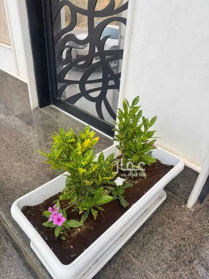 2 bedroom apartment in Al Rabie, Khamis Mushait 9