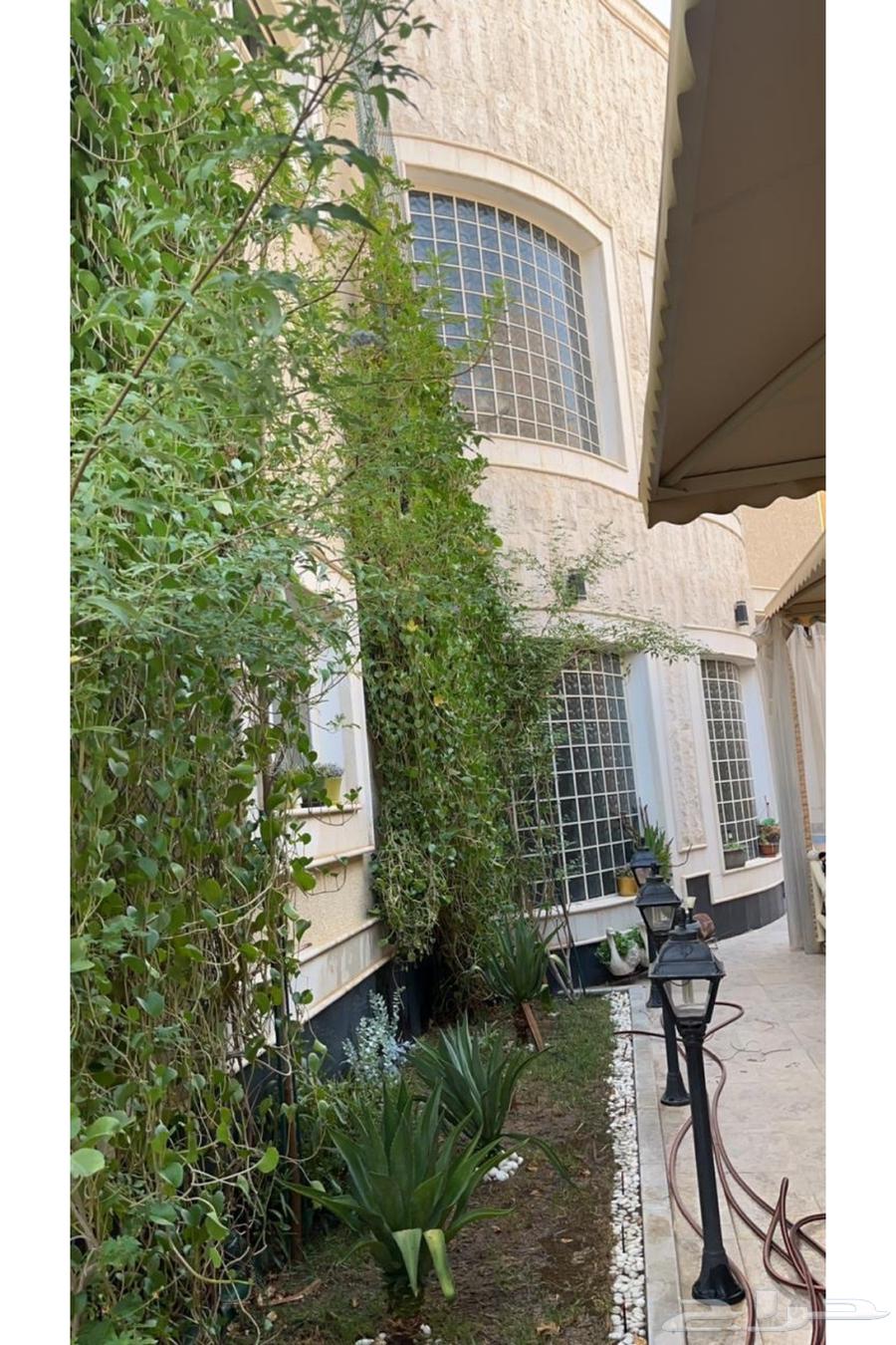 12 bedroom villa in Al Rabie, Riyadh 2