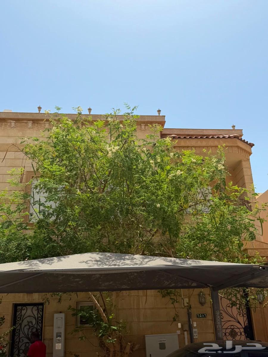 4 bedroom villa in Al Basateen, Jeddah 2