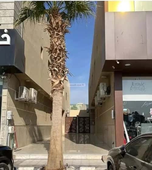 شقة 2 غرف في الياسمين 2