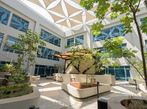 9000 sqm office in As Suwaidi 5