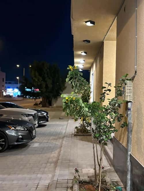 3 bedroom apartment in Al Aridh 4