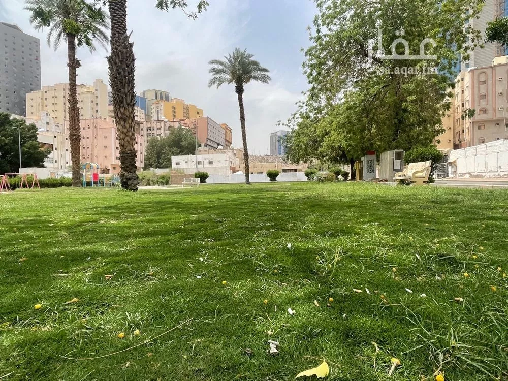 3 bedroom apartment in Batha Quraysh 11