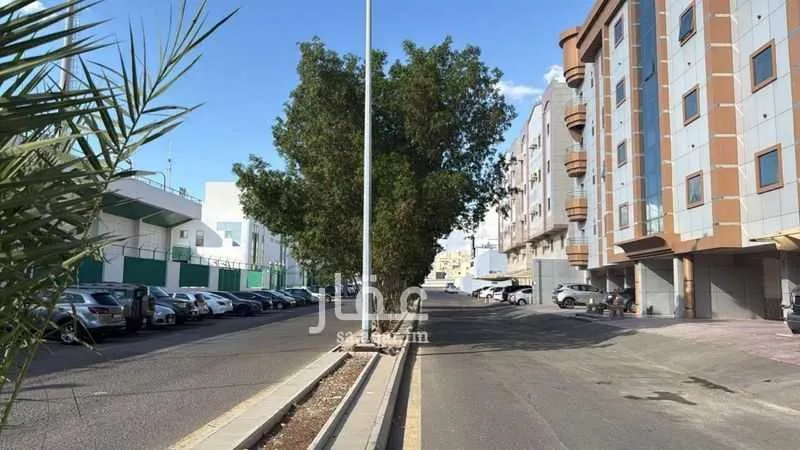 4 bedroom apartment in Al Rehab, Jeddah 4