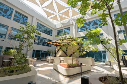 9000 sqm office in As Suwaidi 2