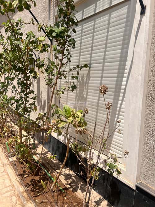 2 bedroom apartment in Al Hamra 7