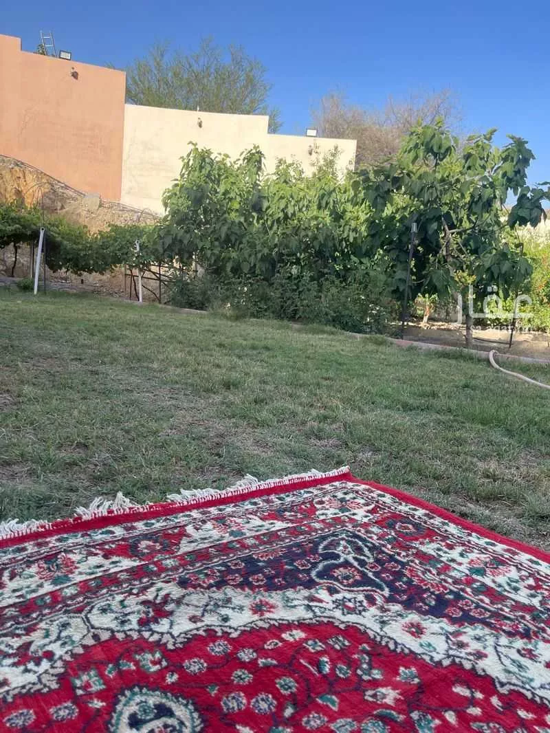 فيلا 6 غرف في الوكف، الطائف 6