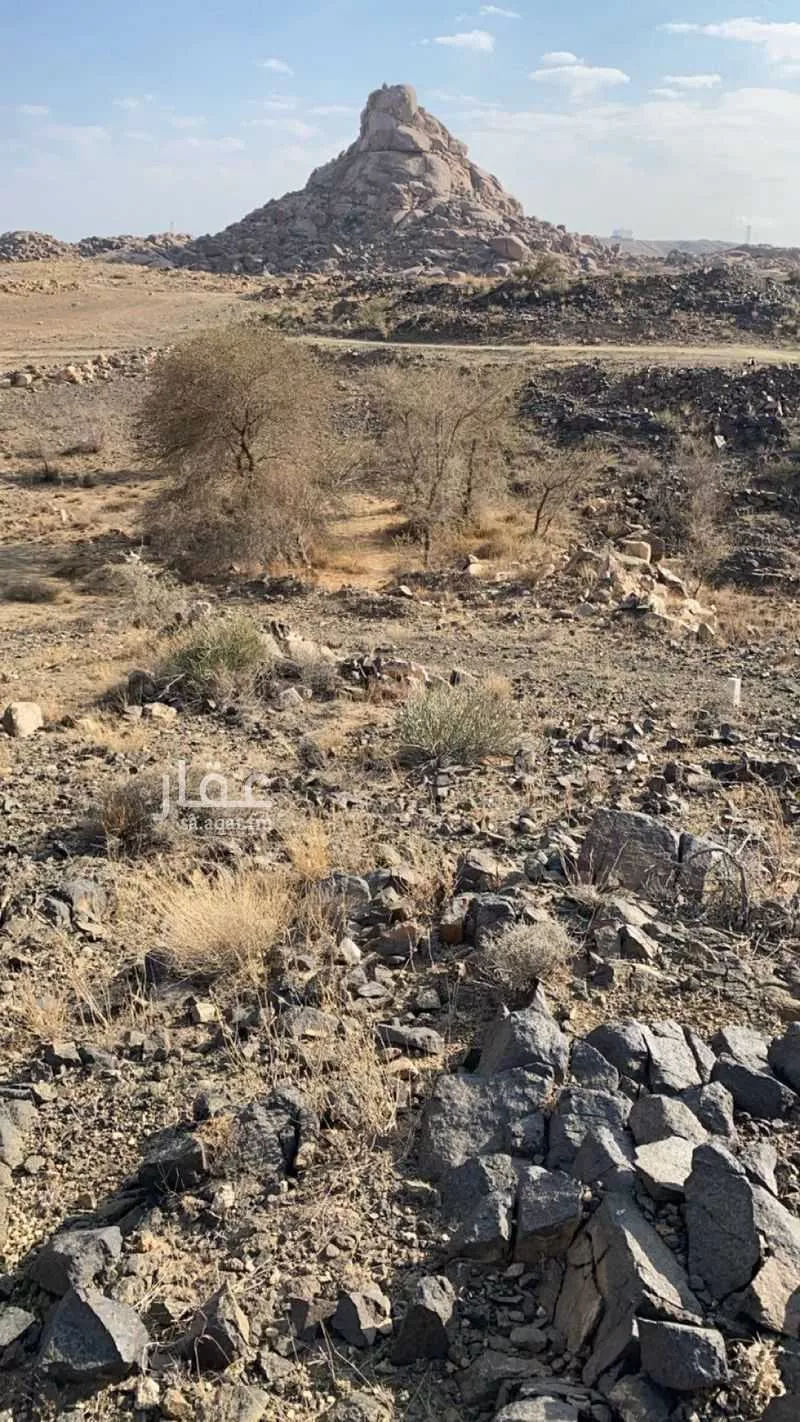 عقار  في الربيع، خميس مشيط 2