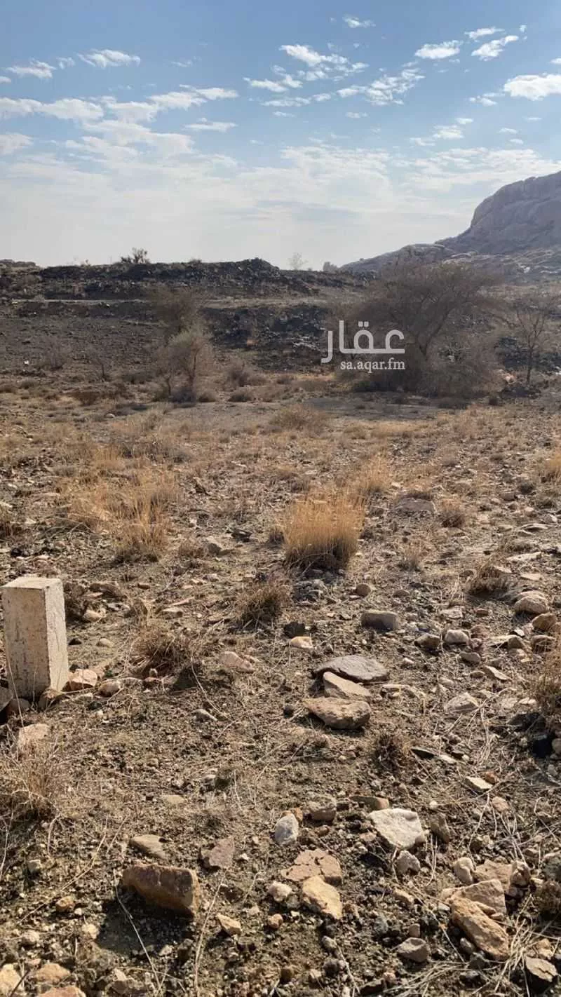 عقار  في الربيع، خميس مشيط 3
