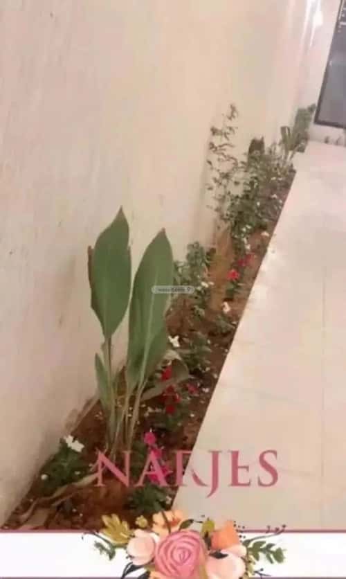 4 bedroom villa in Al Narjis 4
