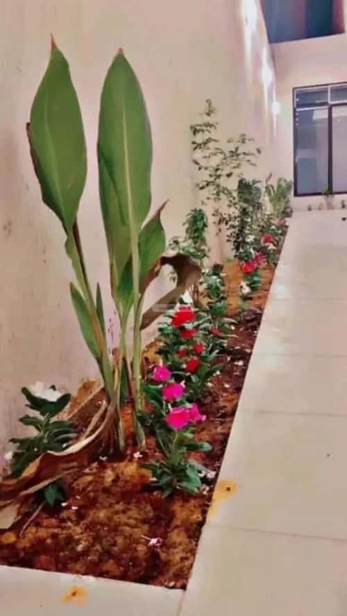 4 bedroom villa in Al Narjis 11