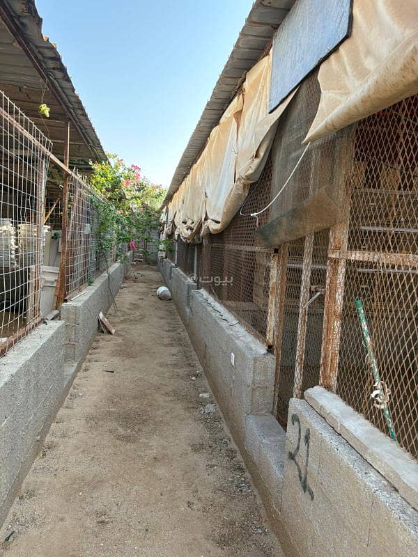 5 bedroom land in Jeddah 3